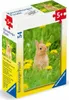 Puzzle Mini Haustiere  54 Teile sortiert, ab 5 Jahren,, Produktbild-Vorschau 4
