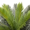 Rebecca Mobili Sztuczna roślina Cycas Siyar 90x35x35 Podgląd zdjęcia produktu 3