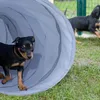 Relaxdays psí tunel, hrací tunel pro aktivní psy, výcvik Náhled obrázku produktu 3