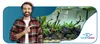 Aquarium Steine Lava Vulkangestein Schwarz 15 kg, Produktbild-Vorschau 8