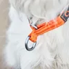 Non-stop dogwear Hundehalsband Cruise Collar orange, Größe: Produktbild-Vorschau 2