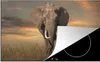 KitchenYeah© Herdabdeckplatte Elefant - Tiere - Gras - Produktbild-Vorschau 1