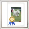 A framed picture of a dog jumping over an agility bar, with a medal and ribbon attached to the frame. Anteprima dell’immagine prodotto