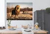MuchoWow® Poster Löwe - Hügel - Sonne 180x120 cm - Produktbild-Vorschau 3