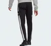 adidas Herren Squadra 21 Freizeithose, Black, S Produktbild-Vorschau 13
