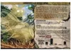 Spirit Island: Sonnenheller Wirbelwind (Mini-Erweiterung) Produktbild-Vorschau 2