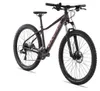 Axess DOREE Damen-Mountainbike Hardtail 29 Zoll Kupfer 17 Produktbild-Vorschau 7