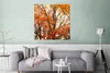 MuchoWow® Poster Wald - Herbst - Jahreszeiten 75x75 cm - Produktbild-Vorschau 5
