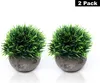 Belle Vous Mini Künstliche Pflanzen im Topf (2er Pack) Produktbild-Vorschau 8