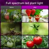 72Leds Grow Lamp Plant Lamp Led Full Spectrum pre veľké Náhľad obrázku produktu 12