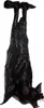 Schwarze herunterhängende Fledermaus mit Vampirzähnen 47 cm Produktbild-Vorschau 1