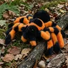Pluche Tarantula Spin 20 Cm Eco-f Plush World Productafbeelding-voorbeeld 6