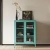 A teal metal display cabinet with glass doors, filled with decorative items and books, is placed against a light gray wall. Náhled obrázku produktu