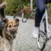 Smycz Rowerowa Dla Dużego I Średniego Psa Z Amortyzatorem Podgląd zdjęcia produktu 2