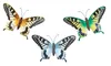 Kobolo Wand- Deko Schmetterling Schwalbenschwanz XXL - 3er Produktbild-Vorschau 1