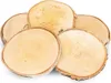 Birkenscheiben Ø ca.12 - 14 cm, 5 Stück, Stärke 1 cm | Produktbild-Vorschau 1