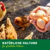 HÜHNER Land Eier-Fit für Legehennen 500g - Futterergänzung Produktbild-Vorschau 5