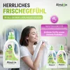 Profumo bucato verbena 750 ml, profumatore bucato, essenze Anteprima dell’immagine prodotto 4