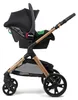Pixini Arizona Kinderwagen Set 3in1 gold/schwarz Produktbild-Vorschau 4