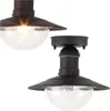 Two black outdoor ceiling lights with clear glass domes are shown against a white background. Anteprima dell’immagine prodotto