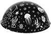 A black dome-shaped projector with white sea-themed illustrations. Voir les images du produit