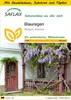 SAFLAX Anzucht Set - Blauregen - Wisteria sinensis - 4 Produktbild-Vorschau 1
