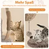A collage showing a cat scratching a jute-covered post and another cat playing with a plush ball attached to a cat tree. Produktbild-Vorschau