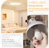 A collage of images showing a bedroom with a ceiling light and a close-up of a light bulb being inserted into a lamp. Voir les images du produit