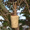 2 x 12 Lyra Pet® Protein Boost graanrepen met meelwormen Productafbeelding-voorbeeld 7