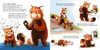 Was wütest du so sehr, kleiner Pandabär? Produktbild-Vorschau 5