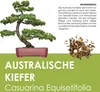 GROW2GO Bonsai Starter Kit inkl. GRATIS eBook - Produktbild-Vorschau 5