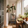 An elderly woman is tending to plants on shelves in a sunlit room, standing on a step stool. Voir les images du produit