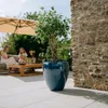 Two women are sitting on a sofa on a patio next to a large potted plant. Produktbild-Vorschau