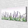 Tulup Leinwand-Bilder 125x50 Wandbild Canvas Kunstdruck Produktbild-Vorschau 2