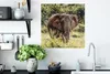 MuchoWow® Poster Elefant - Gras - Natur 50x50 cm - Produktbild-Vorschau 2