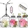 A collage of images showcasing a plant grow light with different light settings and plant growth stages. Produktbild-Vorschau