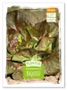 Artikelbild 1 von 'Winterkopfsalat Baquieu' aus der Kategorie Kopfsalatsamen Produktbild-Vorschau