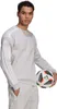 Adidas Sq21 Sw Top Tmlggr Xxl Produktbild-Vorschau 2