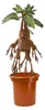 Harry Potter Alraune Mandrake Interaktive Plüschfigur 40 cm Produktbild-Vorschau 5