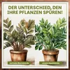 Green Home Grünpflanzen- & Palmenerde 72 L – für Palmen, Produktbild-Vorschau 6