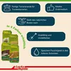 Lucky Reptile - Lettiera del deserto Natur - 20 litri Anteprima dell’immagine prodotto 4