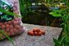 MK Boilie Strawberry 20mm 5kg esche attive istantanee Anteprima dell’immagine prodotto 3