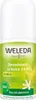WELEDA 24H Deodorant Roll On citrus (50 ml) Productafbeelding-voorbeeld 7