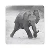 MuchoWow® Mauspad Mousepad Elefant - Baby - Tiere - Kröte - Produktbild-Vorschau 1