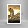 Poster - Poster ohne Rahmen - Löwen Sonnenuntergang Felsen Produktbild-Vorschau 4
