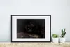 MuchoWow® MuchoWow® Gerahmtes Poster Panther - Wald - Augen Produktbild-Vorschau 4