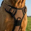 Pettorina anti-tiro per cani Belviona, pettorina a Y Anteprima dell’immagine prodotto 5