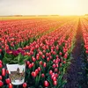 Leipzig-Wahrzeichen Blumentopf - Dekorativer Blumentopf mit Produktbild-Vorschau 6