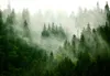 Vlies Fototapete - Mountain Forest (Green) 150x105 cm Produktbild-Vorschau 5