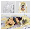 Modèle éducatif corps humain 3D, anatomie avec squelette et Voir les images du produit 9